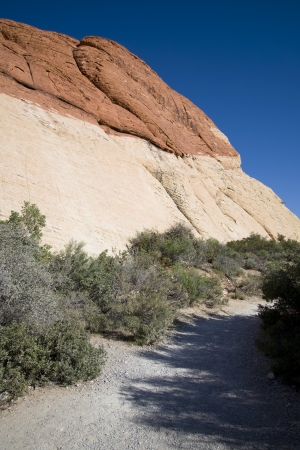 A trial through Red Rock Canyon, Nevadaの写真素材