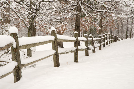 Splitrail fence with fresh snow and snow covered treesの写真素材