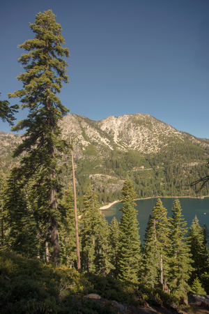 Lake Tahoe through trees with mountain in backgroundの写真素材