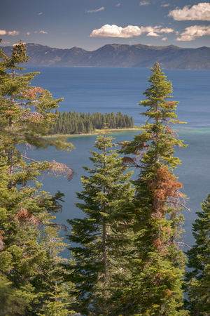 Lake Tahoe through trees with mountains in backgroundの写真素材