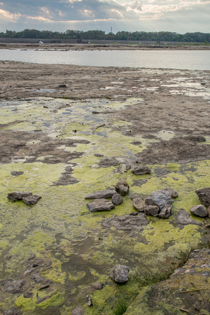 Tide pools at Falls On The Ohio State Parkの写真素材