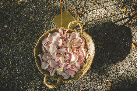 dried petals in a basketの写真素材
