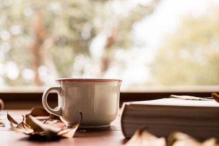 white book and coffee cup with leafs aroundの写真素材