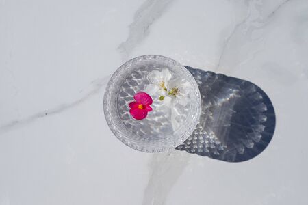 white background with some petals inside a glassの写真素材