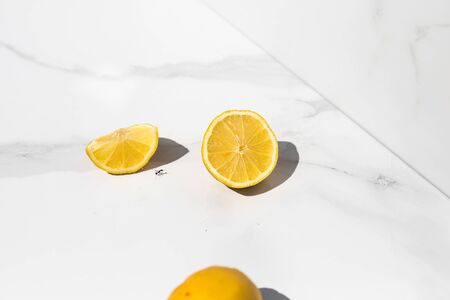 lemon on a white backgroundの写真素材