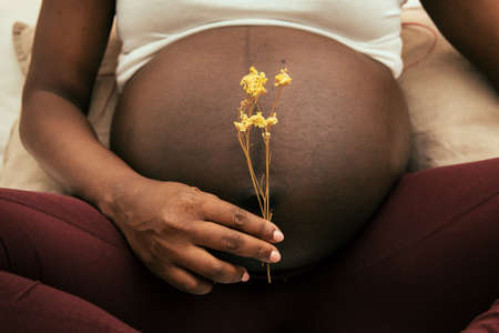 Pregnant woman holding a flower in front of his bellyの写真素材