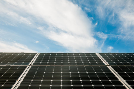 solar panels on the fieldの写真素材