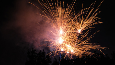 firework behind trees silhouette goldenの写真素材