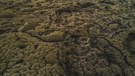 aerial view of moss in icelandの写真素材
