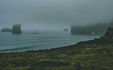 harsh sea with coast in iceland, lot of fogの写真素材