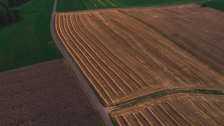 cropped wheat field aerial drone shot top downの写真素材