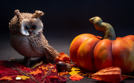 halloween autumn decoration with pumpkin and cute owl on leaves orange colors on black background studio lightの写真素材