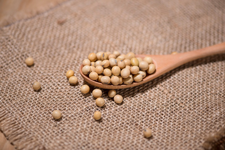 Soya beans in spoon on wooden table.の写真素材