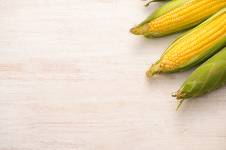 Sweet corns. Fresh corn on cobs on wooden table.の写真素材