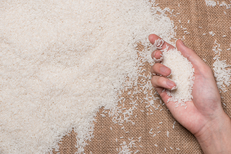 White Rice. Jasmine Rice, Thai Rice, Raw Rice.の写真素材