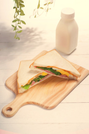 Lunch meal with milk, orange juice and sandwiches.の写真素材