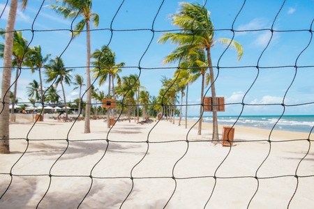 Tropical beach. Ocean vacation destination scene