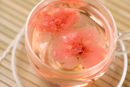 Cherry blossom (sakura) Japanese Herb tea on table.の写真素材