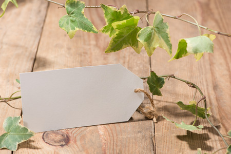 Green leaves with blank tag on wooden backgroundの写真素材