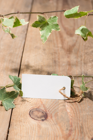 Green leaves with blank tag on wooden backgroundの写真素材