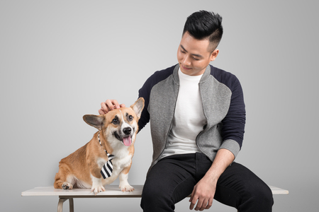 Asian man sitting on a chair with his corgiの写真素材