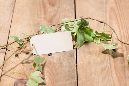 Green leaves with blank tag on wooden backgroundの写真素材