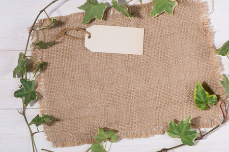 Green leaves with blank tag on wooden backgroundの写真素材