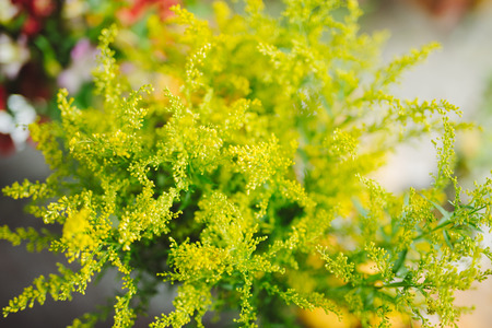 Bouquet decorate in front of flower shopの写真素材