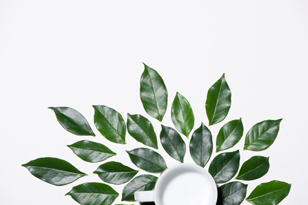 Flat lay of green leaves pattern with cup of milk on white backgroundの写真素材