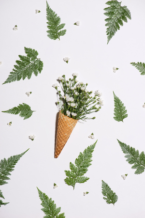 Top view of flowers in the waffle coneの写真素材