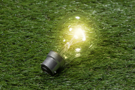 Electric glass bulb on grass background. Ideas creativity concept.の写真素材