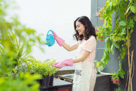 Beautiful asian woman gardener watering the plantsの写真素材