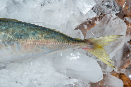Fresh raw fish on ice on a wooden table.の写真素材