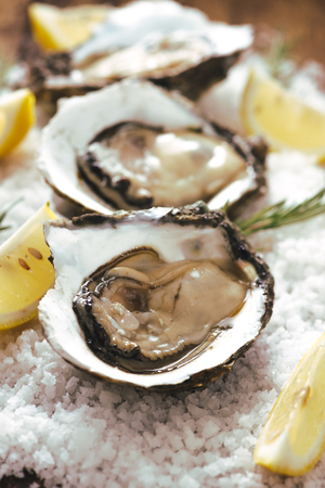 fresh just opened oysters and slice of lemon on rustic wooden backgroundの写真素材