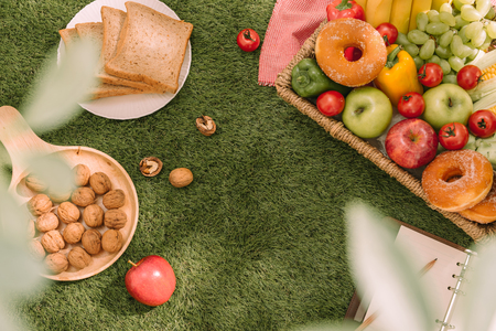 Picnic basket with fruits and book on the grass backgroundの写真素材