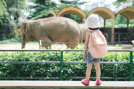 Children feed Asian elephants in tropical safari park during summer vacation. Kids watch animalsの写真素材