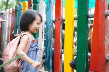 Girl feeds goats on a farmの写真素材