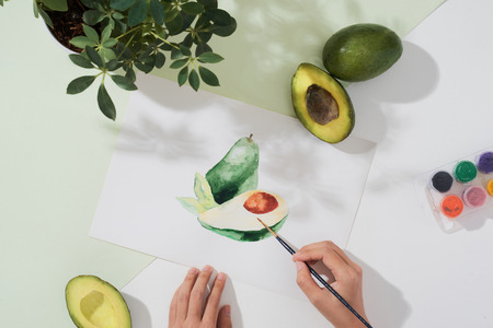 Tropical summer concept made of avocado fruit and hand drawing illustration.