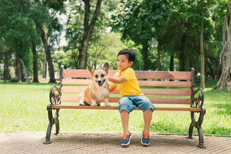 Children and dogs outdoors. Asian little boy enjoying and playing in park with his adorable Pembroke Welsh Corgi.の写真素材