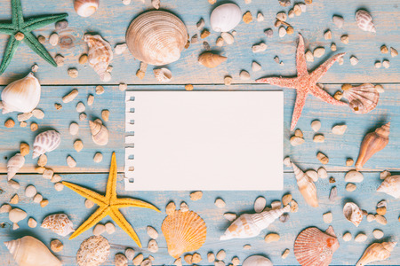 Shells and starfishes on blue wooden background. Copy space for your text.の写真素材