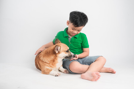 Portrait of a joyful little boy having fun with welsh corgi dog on the floor at studio.の写真素材