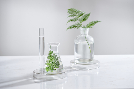 cosmetic nature skincare and essential oil aromatherapy .organic natural science beauty product .herbal alternative medicine . mock up.の写真素材