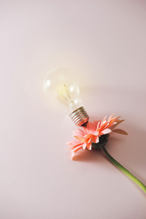 light bulb with beautiful flower around on pink background