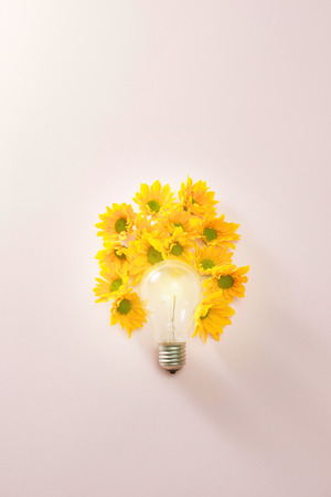 light bulbs to save energy with flowers around on pink backgroundの写真素材