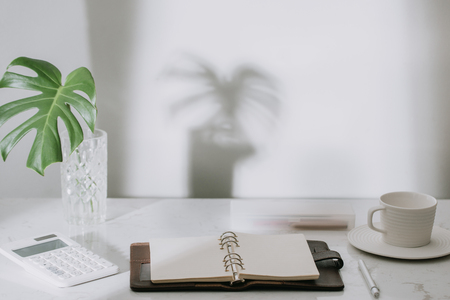 Monstera tropical palm leaves in a glass vase standing on office table with stationaryの写真素材