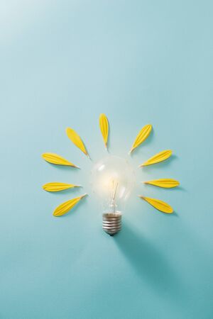 Ecology and energy saving concept with eco bulbの写真素材