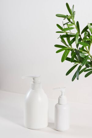 Bottles of shampoo and tropical leaf on color backgroundの写真素材