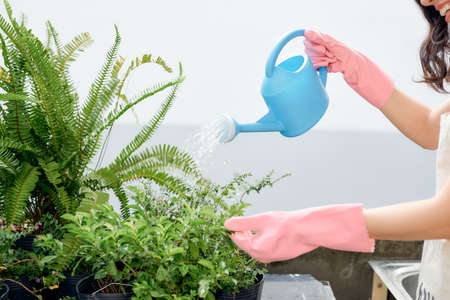 Young woman watering plants on her city balcony gardenの写真素材
