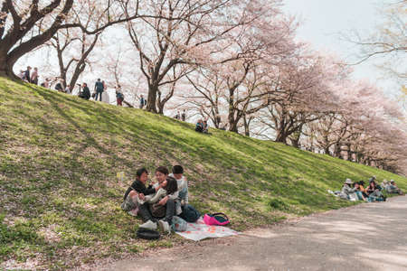 Kyoto, JAPAN - April 3, 2018: People enjoy seeing beautiful blooming cherry blossom at Yawatashi.のeditorial素材