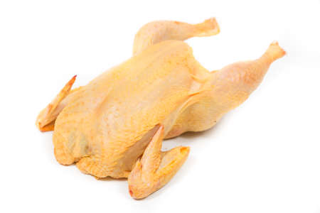 Plucked whole chicken on white backgroundの写真素材